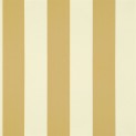 Signature Stripe Library