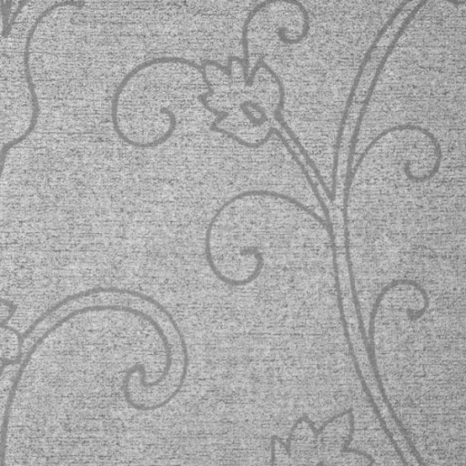 Обои Italreflexes 55126 Обои Italreflexes 55126