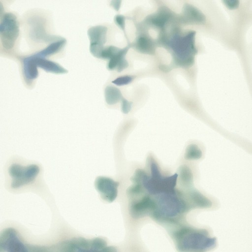 Обои York COD0555