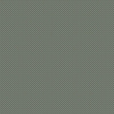 Обои Trendsetter WA2109 