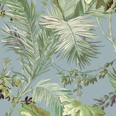 Обои Coordonne 8800003 