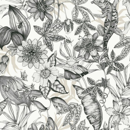 Чёрно-белые флизелиновые обои York BL1703