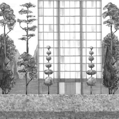 Обои Coordonne 8000077 Обои Coordonne 8000077