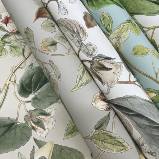 Обои York BL1712 Обои York BL1712