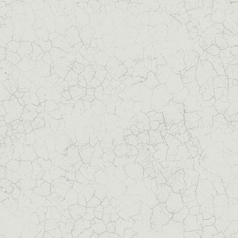 Обои Mayflower Transition FJ31208 Обои Mayflower Transition FJ31208