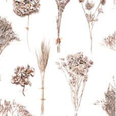 Обои Coordonne 8000023 