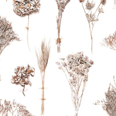 Обои Coordonne 8000023 