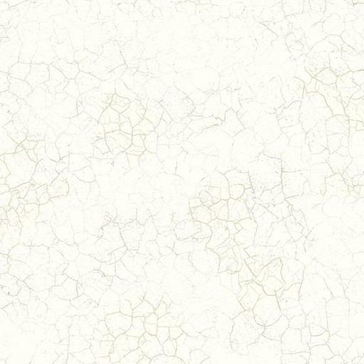 Обои Mayflower Transition FJ31210