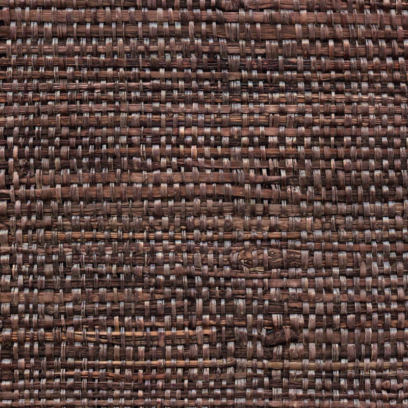 Обои CMO Raphia feuilles de...