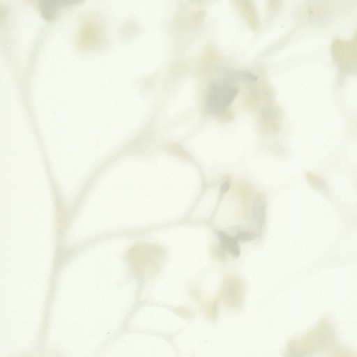 Обои York COD0554