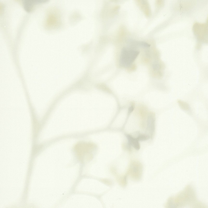 Обои York Candice Olson Terrain...