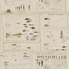 Обои Ralph Lauren PRL5025-02 