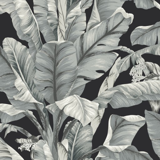 Обои York BW3971