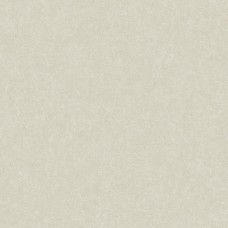 Обои Trendsetter RY1006 