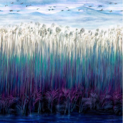 Фотообои Italreflexes KAD507