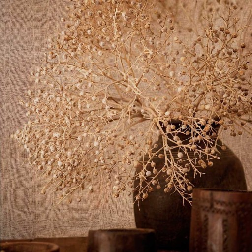 Коричневые флизелиновые обои Italreflexes OG67