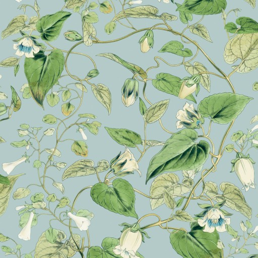 Обои York BL1714