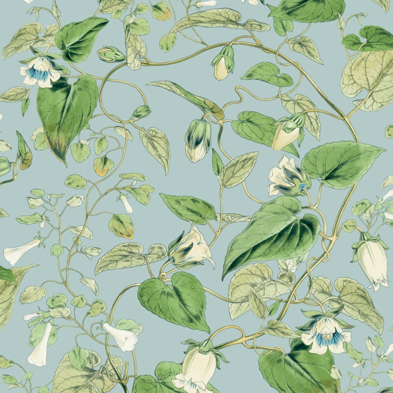 Обои York Blooms Second Edition...