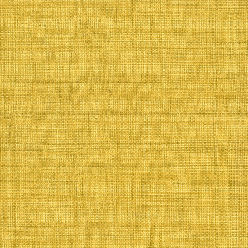 Обои Rubelli The Walls of Venice...