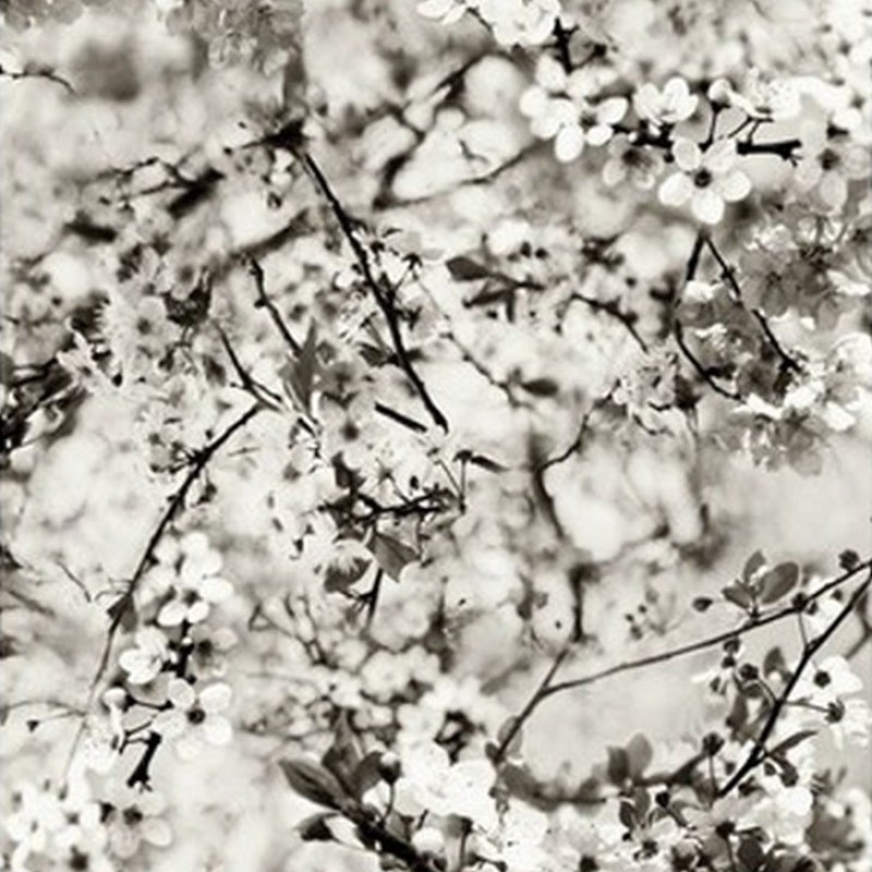 Обои Lelievre Jean-Paul Gaultier... Обои Lelievre Jean-Paul Gaultier...