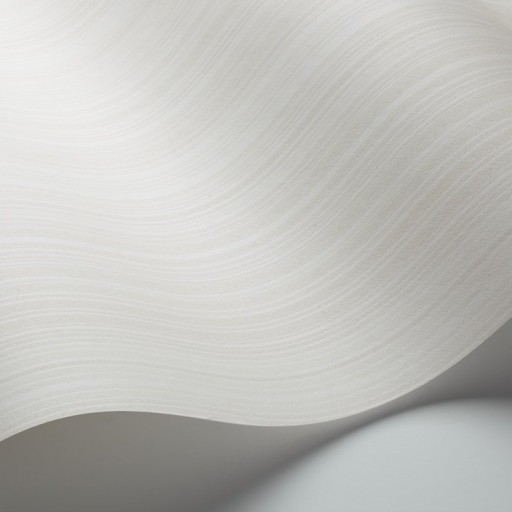 Обои Borastapeter 5454 