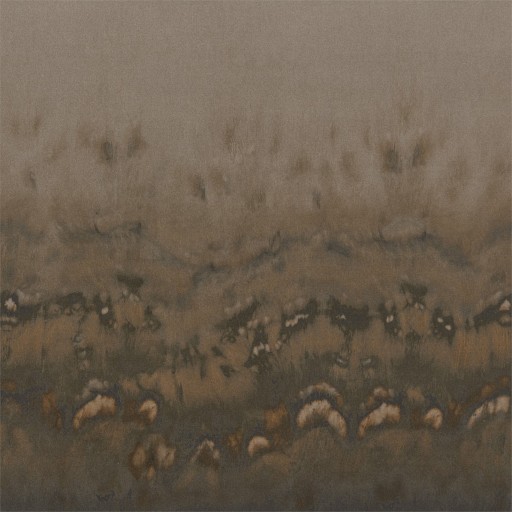 Коричневые обои Anthology 111606