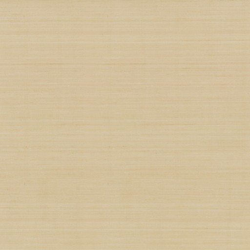 Обои York NT6209