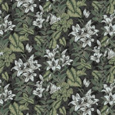 Обои Trendsetter NO6063 