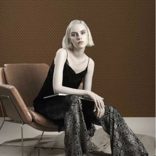 Обои Trendsetter, коллекция Nouvel, артикул NO6038 Обои Trendsetter, коллекция Nouvel, артикул NO6038