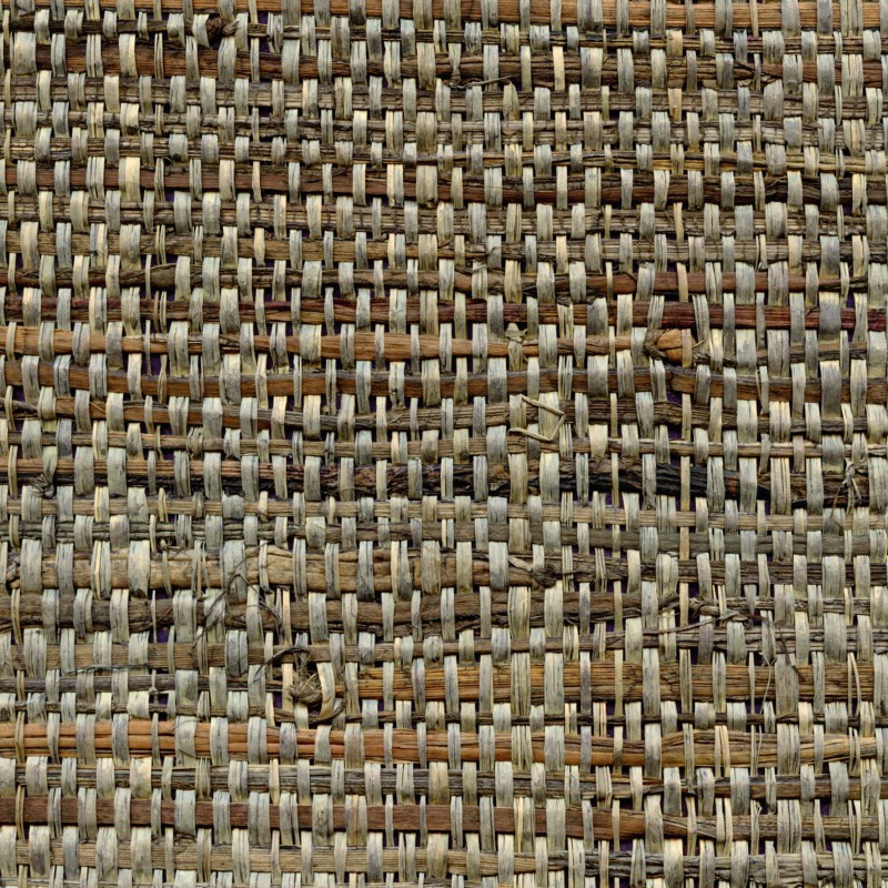 Обои CMO Raphia feuilles de...