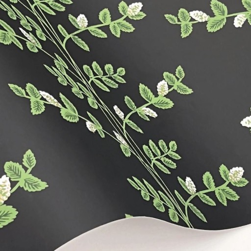 Обои чёрные, флизелиновые York RF7422