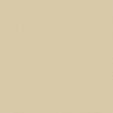 Обои Trendsetter RY0403 