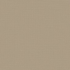 Обои Trendsetter RY0404 