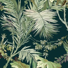 Обои Coordonne 8800004 