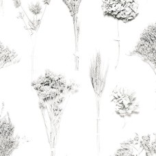 Обои Coordonne 8000022 