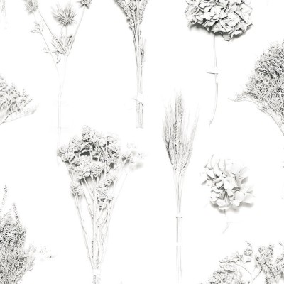 Обои Coordonne 8000022 