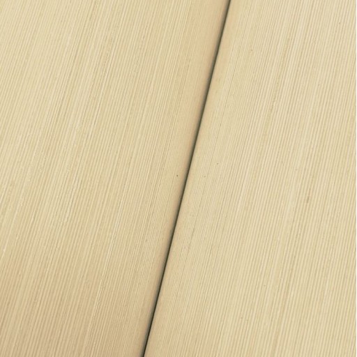 Обои York NT6209