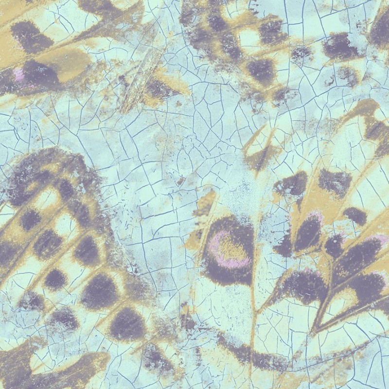 Обои Mayflower Aerial WMAFJ090205 Обои Mayflower Aerial WMAFJ090205