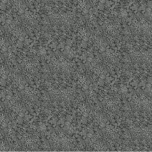 Обои чёрные, флизелиновые York RI5111