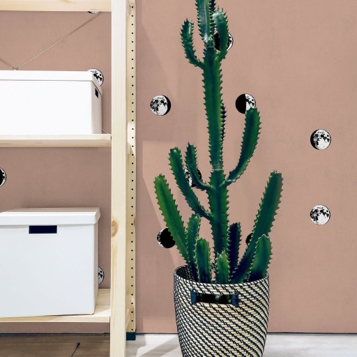 Обои Coordonne, коллекция Instant, артикул 8500053 Обои Coordonne, коллекция Instant, артикул 8500053