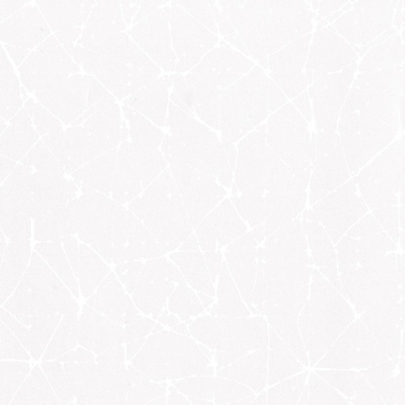 Обои Rubelli The Walls of Venice...