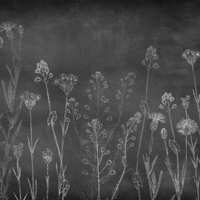 Обои Coordonne 8500102 Обои Coordonne 8500102