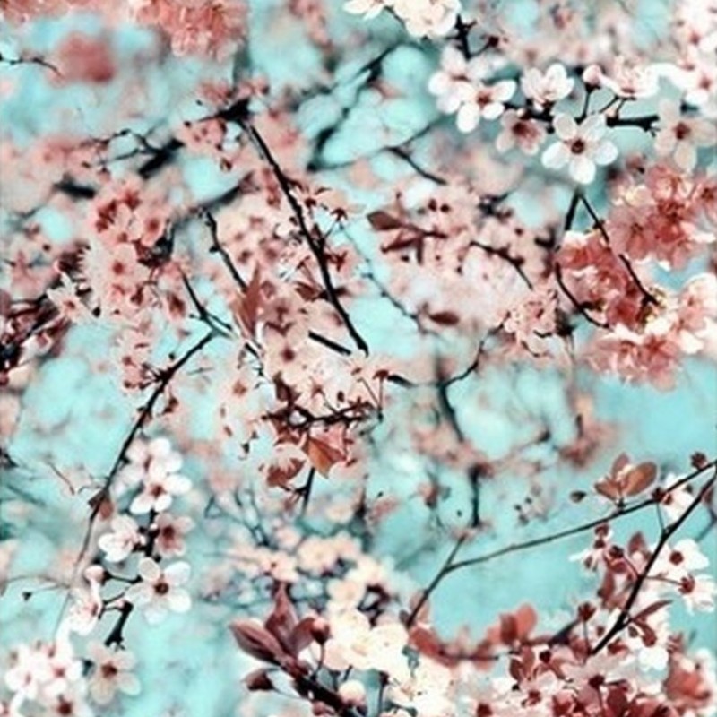 Обои Lelievre Jean-Paul Gaultier... Обои Lelievre Jean-Paul Gaultier...