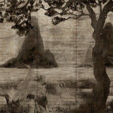 Обои Coordonne 7900192 