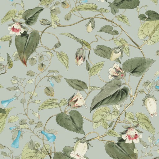 Обои York BL1712 Обои York BL1712