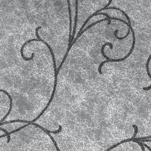 Обои с вензелями Italreflexes AX-117