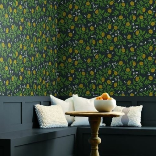 Обои чёрные, флизелиновые York RI5151