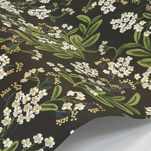 Обои чёрные, флизелиновые York RP7384