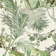 Обои Coordonne 8800001 