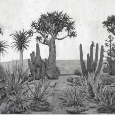 Обои Coordonne 7900142 